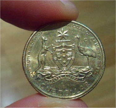 Noodling-Find-Of-The-Week?